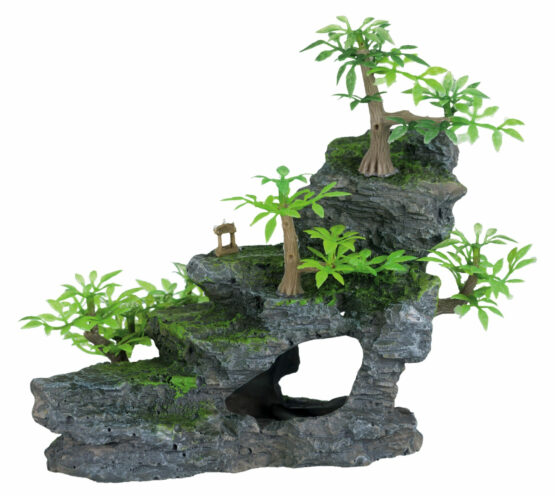 Rock stairs, plants 19cm