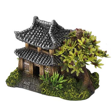 Asian House w.Plants