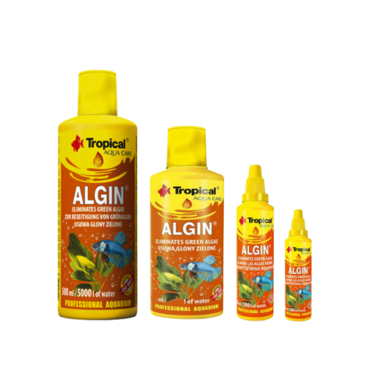 algin - 4 stærðir
