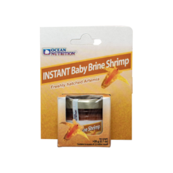 instant baby brine shrimp