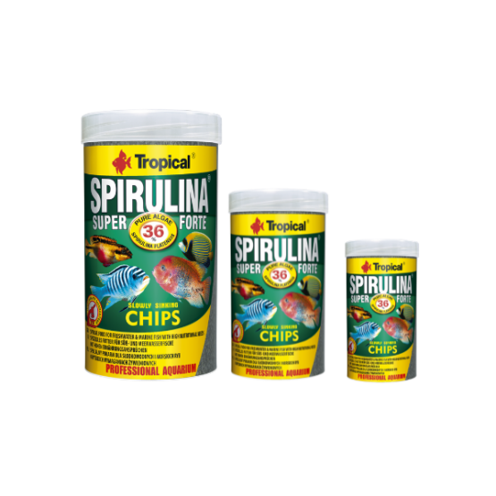 spirulina super forte sinking chips - 3 stærðir
