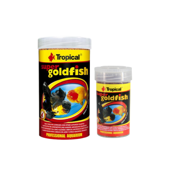 tropical super goldfish - 2 stærðir
