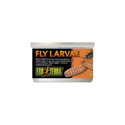 Exo Terra Specialty Reptile Food, Canned Black Soldier Fly Larvae