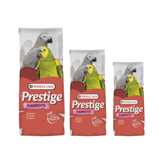 Prestige Parrots - 3 stærðir