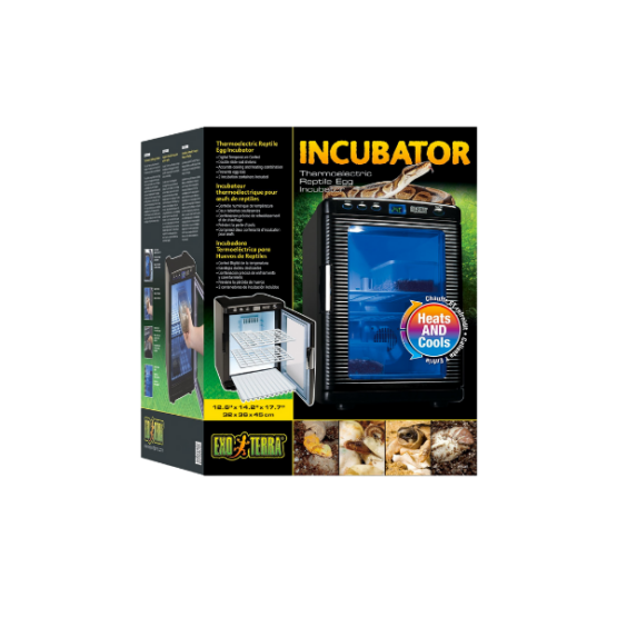 EX Incubator
