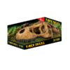 EX T-Rex Skull