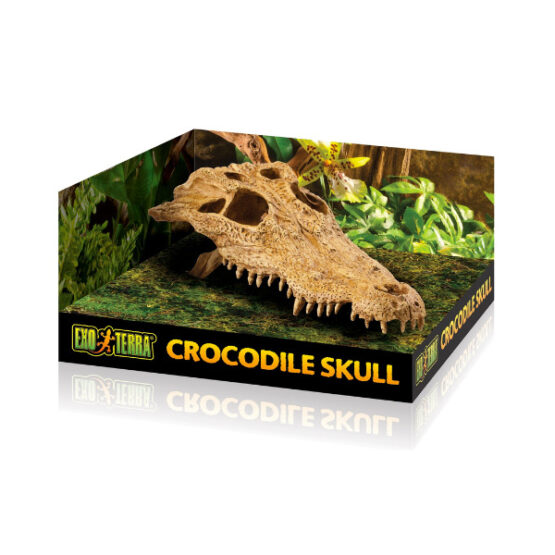 Exo-Terra Crocodile Skull