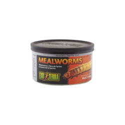 exo terra mealworms 34g