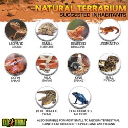 Natural Terrarium Mini Wide