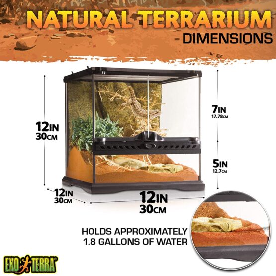Natural Terrarium Mini Wide