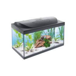 Tetra Aquarium Starter Line LED Fish Tank Complete Set, 54 Litre