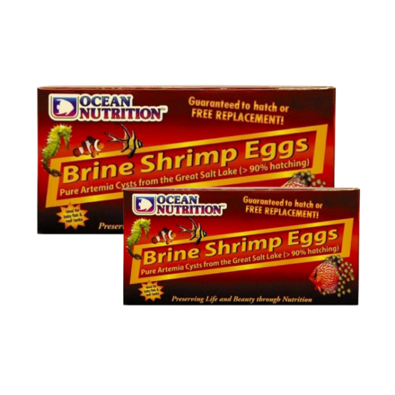 ocean nutrition frozen brine shrimp eggs