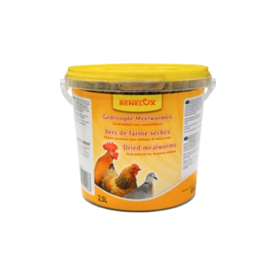 Benelux mealworms