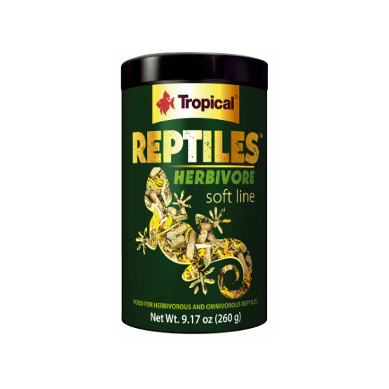 Tropical Reptile Soft Herbivore